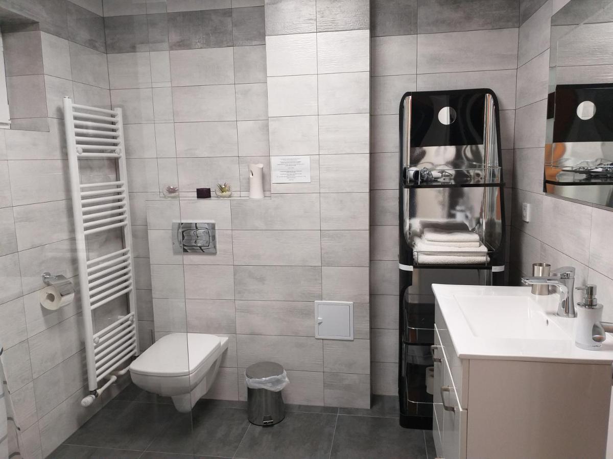 Luxury-Apartment Ultracentral Кымпулунг-Молдовенеск Экстерьер фото